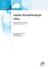 Lokale Fernsehanalyse 2004
