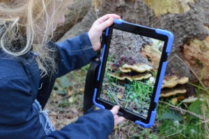 Bild zum Beitrag: Entdeckungstour Natur - Fotografie & Film